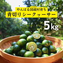 商品画像3