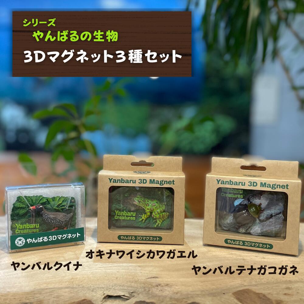 【ふるさと納税】やんばるの生物3Dマグネット (ヤンバルクイナ オキナワイシカワガエル ヤンバルテナガコガネ)　～やんばるの生き物シリーズ～のサムネイル