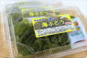 【ふるさと納税】【数量限定】農薬不使用シークヮーサー&海ぶどうセット