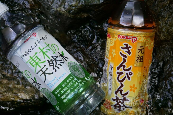 【ふるさと納税】東村の天然水＆さんぴん茶セット（500ml×24本）1ケース