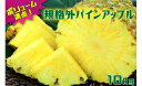 【ふるさと納税】【超目玉!】ボリューム満点!規格外パインアッ...