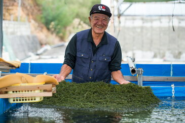 【ふるさと納税】【美ら海沖縄県東村産】茎付き海ぶどう2パックセット（ぽん酢付き）