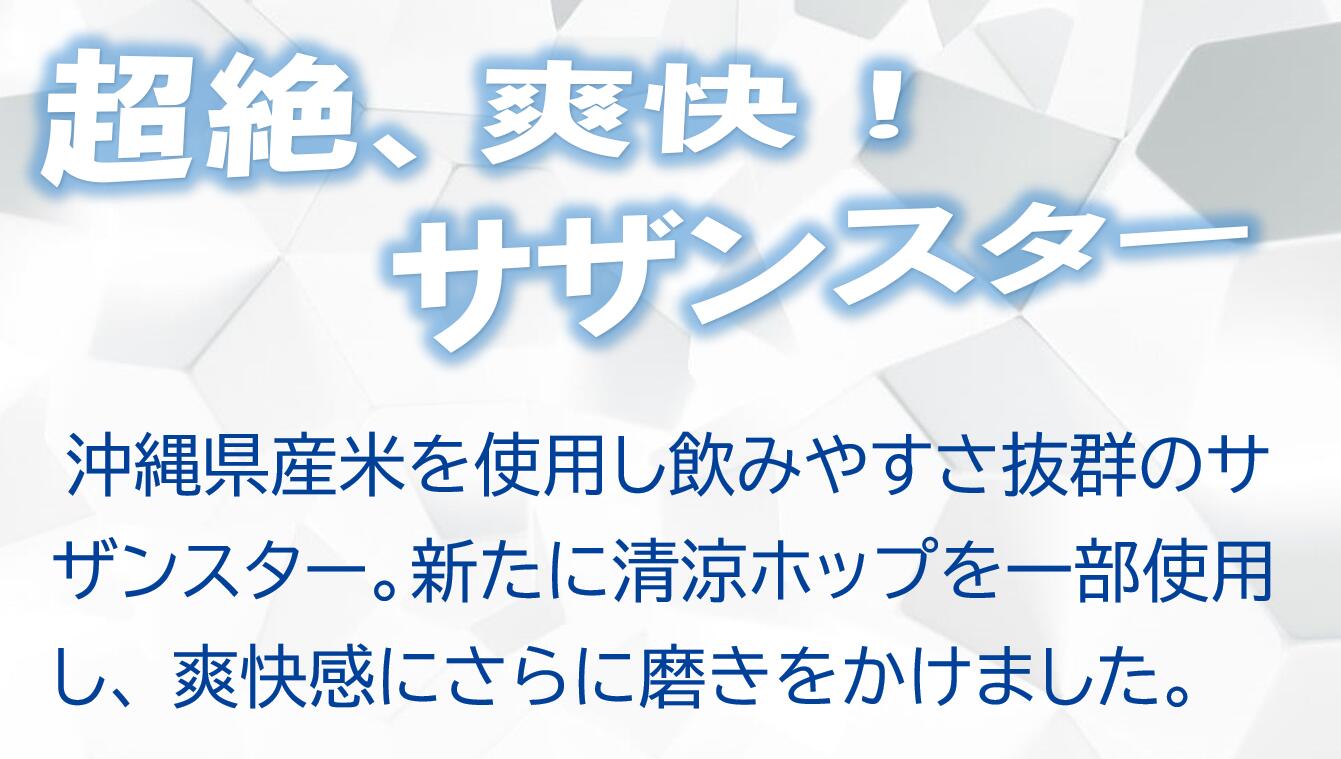 【ふるさと納税】オリオン　サザンスター（24缶）