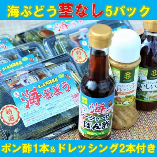 4位! 口コミ数「2件」評価「3」【美ら海沖縄県東村産】茎なし海ぶどう5パックセット（ぽん酢＆ドレッシング付き）