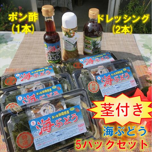 沖縄県、東村慶佐次で真心込めて育てた新鮮海ぶどう。 海ぶどうは、沖縄県や亜熱帯に生息する海藻の一種です。別名「グリーンキャビア」と呼ばれており、カルシウム・鉄分・ビタミン類・ミネラル等の成分を多く含み栄養豊富なのに、低カロリー。 プチプチとした独特の食感と、口の中に広がる磯の香りがクセになります。 おすすめの食べ方は、海ぶどうを氷水にとおし、ぽん酢などをつけて食べる方法です。 是非、お楽しみください。 名称茎付き海ぶどう5パックセット（ぽん酢＆ドレッシング付き） 産地名沖縄県 原材料名○シークヮーサーぽん酢 醤油、砂糖、醸造酢、発酵調味料、シークヮーサー果汁、食塩、鰹節、酒精、香料（原材料の一部に小麦粉、大豆を含む） ○おいしいポン酢(パイン入り) パイン（沖縄県東村産）、醸造酢、醤油、みりん、砂糖類、だしこんぶ、シークヮーサー果汁、食塩、（原材料の一部に小麦、大豆を含む） ○パインアップルドレッシング パインアップル、醸造酢、玉葱、食用植物油脂（オリーブオイル）、にんにく、食塩、砂糖、胡椒、パセリ、バジル、唐辛子、（原料の一部に小麦粉を含む） 内容量○海ぶどう 茎付き　100g×5パック ○シークヮーサーぽん酢 150ml×1本 ○おいしいポン酢(パイン入り) 300ml×1本 ○パインアップルドレッシング 200ml×1本 消費期限○海ぶどう なるべく早めにお召し上がり下さい。 ○シークヮーサーぽん酢 ○おいしいポン酢 ○パインアップルドレッシング 枠外下部に記載。 保存方法○海ぶどう 常温保存（15〜28℃） ※冷蔵庫に入れないで下さい。 ○シークヮーサーぽん酢 ○おいしいポン酢 ○パインアップルドレッシング 高温、直射日光を避け冷暗場に保管して下さい。 開栓後は冷蔵庫（1℃〜10℃）に保存し、お早めにお召し上がり下さい。 加工業者○シークヮーサーぽん酢 沖縄特産販売株式会社 沖縄県豊見城市字豊崎3番地84 ○おいしいポン酢 大嶺絹代（グリーンフィールド・絹代） 沖縄県国頭郡東村字平良162 ○パインアップルドレッシング アート玉辻（代表者　城間達子） 沖縄県国頭郡東村字川田641 製造者○海ぶどう 生産者　山城定継 沖縄県国頭郡東村字慶佐次780漁港内 ○シークヮーサーぽん酢 沖縄特産販売株式会社 沖縄県豊見城市字豊崎3番地84 ○おいしいポン酢 大嶺絹代（グリーンフィールド絹代） 沖縄県国頭郡東村字平良162 ○パインアップルドレッシング アート玉辻（代表者　城間達子） 沖縄県国頭郡東村字川田641 提供元東村ふるさと振興株式会社　(サンライズひがし) 注意事項【注意事項】 ※商品到着後すぐ、現物の確認をお願いいたします。 ※商品に他の海藻類やヨコエビ等の生物がまれに入っている事がありますが、食べても問題ありません。 ※不在日・受取日がある場合、必ず備考欄のメッセージにご入力下さい。 ※直射日光、高温多湿を避け、常温（15℃以上）にて保存して下さい。※海ぶどうは低温状態が続くと粒がしぼむ為、冷蔵庫では冷やさないで下さい。 申込可能な期間通年可能 発送可能な時期◎2024年3月中旬頃～ ※海ぶどうは、低温だと粒が萎んでしまいます。そのため、寒い時期（1～2月）の発送を避け、気温が少し暖かくなる3月中旬頃から発送を開始いたします。ご了承くださいませ。 ・ふるさと納税よくある質問はこちら ・寄附申込みのキャンセル、返礼品の変更・返品はできません。あらかじめご了承ください。【美ら海沖縄県東村産】茎付き海ぶどう5パックセット（ぽん酢＆ドレッシング付き）　 入金確認後、注文内容確認画面の【注文者情報】に記載の住所に60日以内に発送いたします。 ワンストップ特例申請書は入金確認後60日以内に、お礼の特産品とは別に住民票住所へお送り致します。