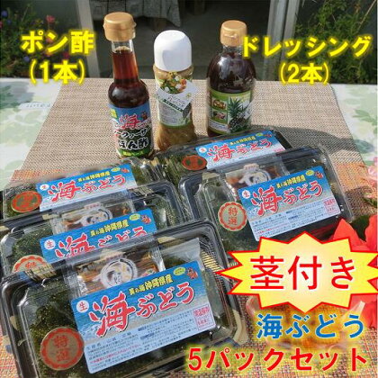 【美ら海沖縄県東村産】茎付き海ぶどう5パックセット（ぽん酢＆ドレッシング付き）