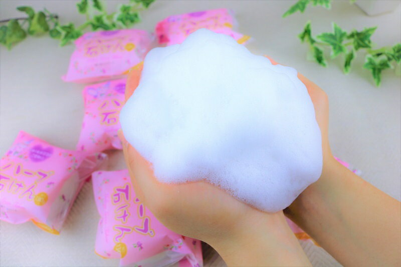 沖縄県東村の画像3