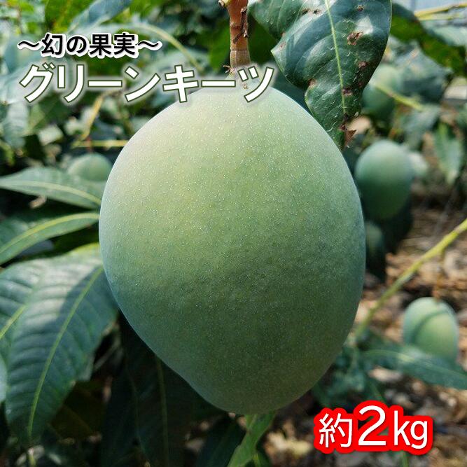 【ふるさと納税】 眞ちゃん自慢のキーツマンゴー約2kg(2〜3玉)　2024年