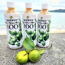 シークヮーサー100（500ml×3本）