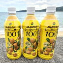 【ふるさと納税】【無添加・果汁100％】シークヮーサー(マイルドタイプ)100（500ml×3本）