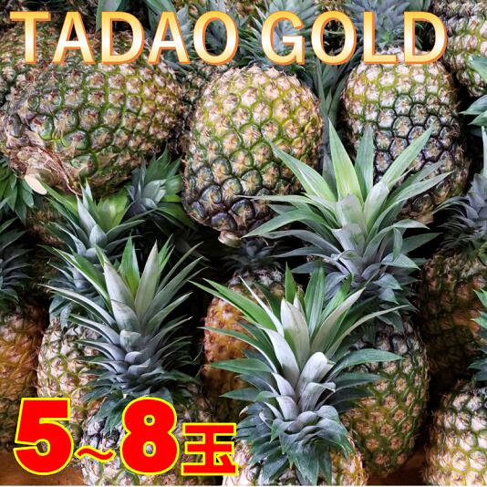 【ふるさと納税】【TADAO GOLD】5〜8玉　2021年7月中旬以降発送予定！