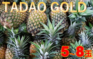 【ふるさと納税】【TADAO GOLD】5〜8玉 2021年7月中旬以降発送予定!