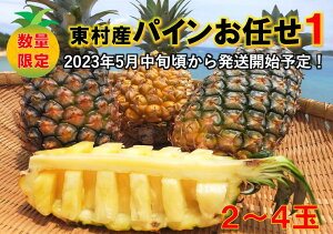 【ふるさと納税】【2023年発送！】東村産パインアップルお任せセット1(2～4個)