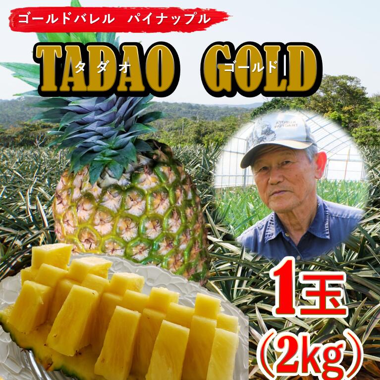 【ふるさと納税】【匠の味！】TADAO　GOLD1玉（約2kg）◆2024年発送分◆100セット限定