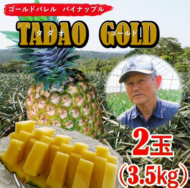 【ふるさと納税】【匠の味！】TADAO　GOLD2玉（約3.5kg）～2024年6月頃から発送予定～