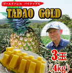 【ふるさと納税】【匠の味！】TADAO　GOLD3玉　2024年7月頃発送予定～100セット限定