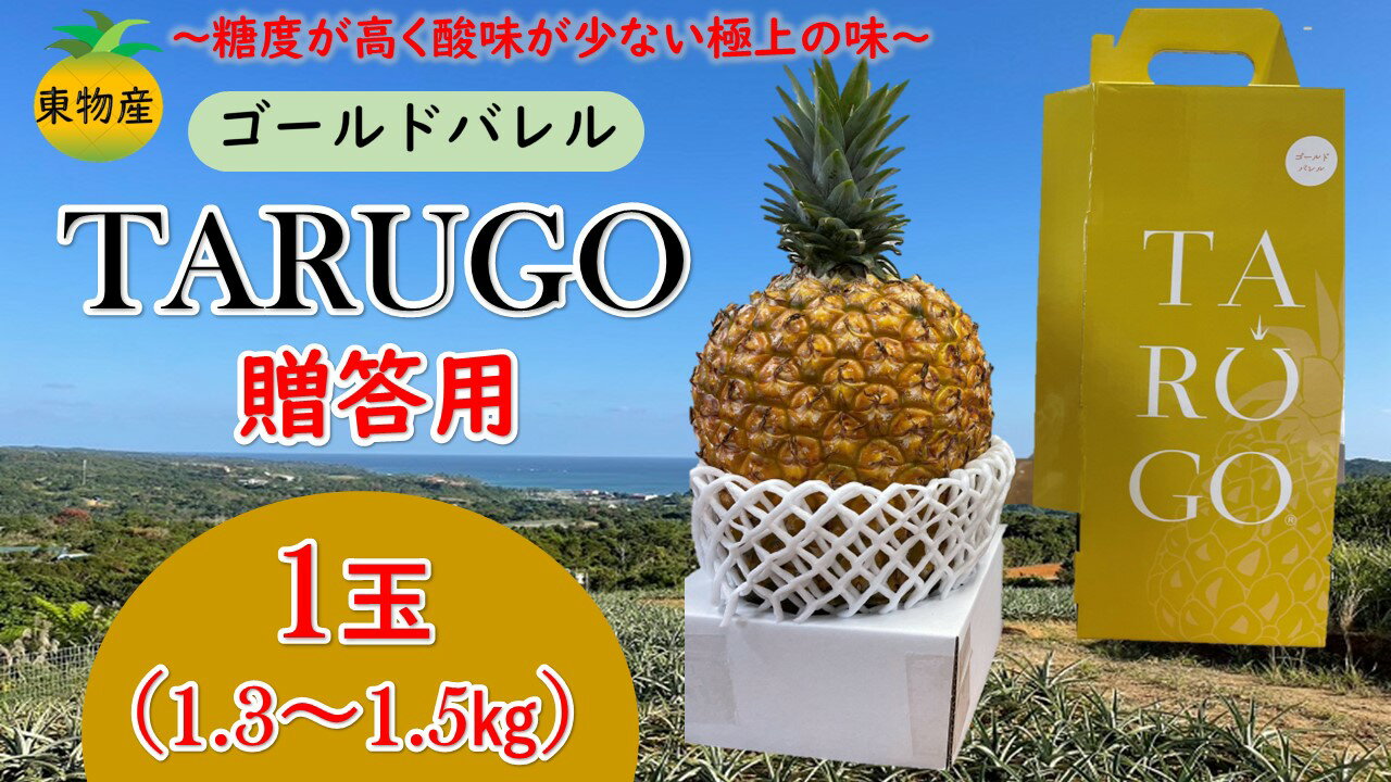 東物産「TARUGO」約1.3kg（1玉）黄箱／贈答用　2024年発送