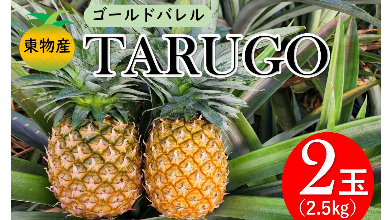 東物産「TARUGO」2.5kg(2玉) 2024年発送