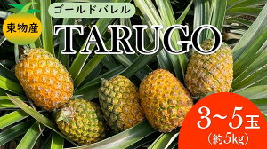 【ふるさと納税】東物産「TARUGO」5kg（3～5玉）家庭用　2024年発送