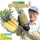 【ふるさと納税】ゴールドバレル【パインアップル】(2玉)約3.5kg ふくしま農園の自信作!◆2025年発送◆ ゴールドバレル パイナップル 高品質 新鮮 ジュ...