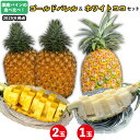 【ふるさと納税】国産パインの食べ比べ!ゴールドバレル(2玉)&ホワイトココ(1玉)セット【2025年発送】 パイン パインアップル パイナップル ゴールドバレル...