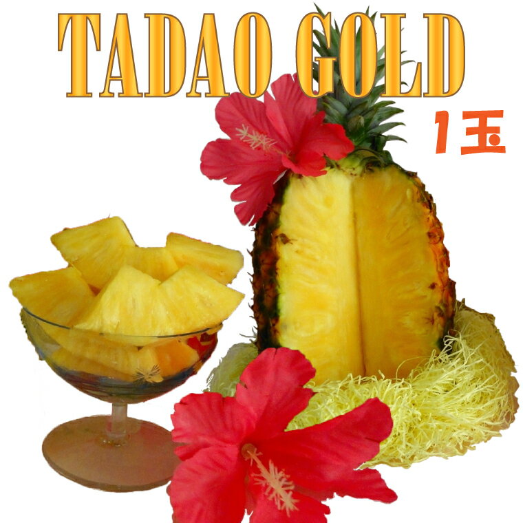 【ふるさと納税】【TADAO GOLD】1玉　約2kg