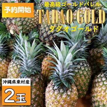 【ふるさと納税】【TADAO GOLD】2玉3.5kg