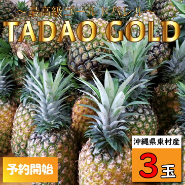 【ふるさと納税】【TADAO GOLD】3玉 ※2021年7月中旬頃から発送予定!