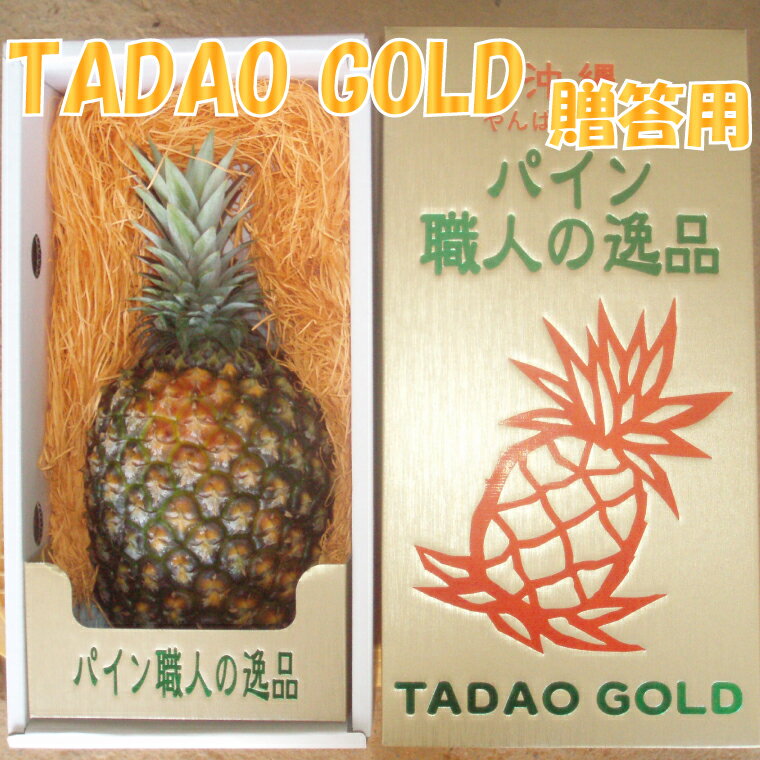 【ふるさと納税】【贈答用：限定50セット】【TADAO GOLD】1玉　1.7kg〜2kg　※2021年6月頃から発送予定！