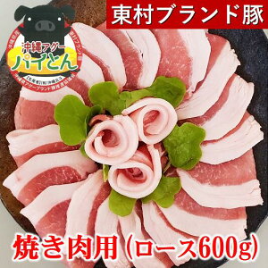 【ふるさと納税】【新特産品】東村ブランド豚『パイとん』焼き肉用（ロース600g）
