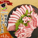 【ふるさと納税】【沖縄アグー豚】東村産 パイとん 焼き肉&しゃぶしゃぶセット(計1.2kg) あぐー あぐー肉 アグー アグー肉 豚肉 パイとん 焼肉 豚焼肉 ブランド豚 ロース肉 豚ロース パイン パイナップル しゃぶしゃぶ 脂身 しょうが焼き 肉野菜炒め 豚しゃぶ 沖縄 東村