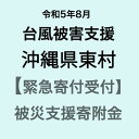 【ふるさと納税】【令和5年8月台風災害支援緊急寄附受付】沖縄県東村災害応援寄附金（返礼品はありません）