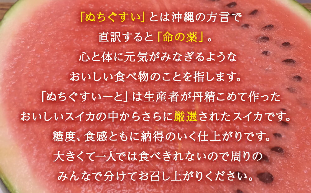 【ふるさと納税】【JAおきなわ】【限定200玉】 厳選すいか！ぬちぐすいーと　大玉7kg以上【2024年4月～5月頃　発送】