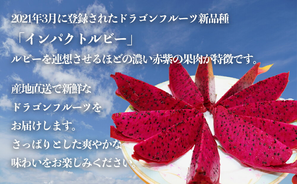 沖縄県今帰仁村の画像2