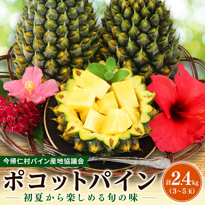[2027年5月中旬から順次発送]今帰仁村パイン産地協議会 ポコットパイン2.4kg(3〜5玉)[配送不可地域:離島]
