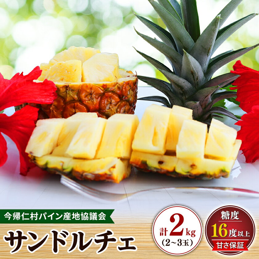 [2027年8月上旬から順次発送]今帰仁村パイン産地協議会 サンドルチェ2.0kg(2〜3玉)[配送不可地域:離島]
