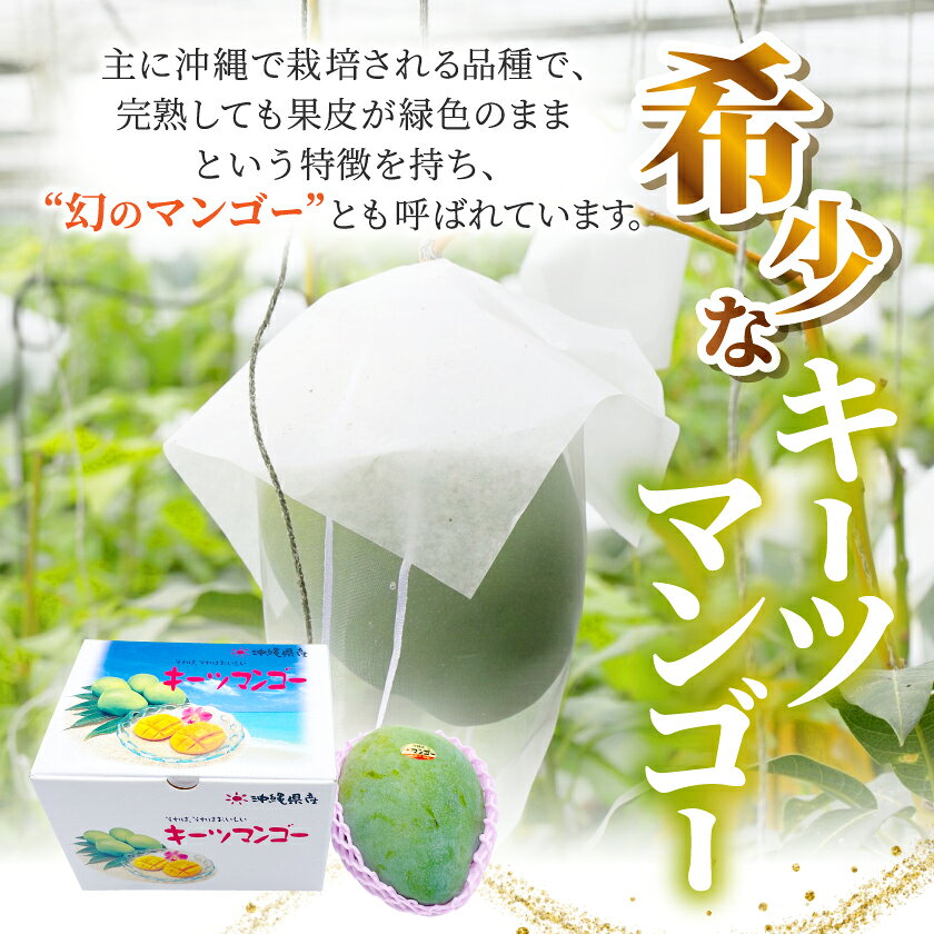 【ふるさと納税】【2026年8月中旬から順次発送】今帰仁産の幻のキーツマンゴー800g～2kg【配送不可地域：離島】【G4014738】