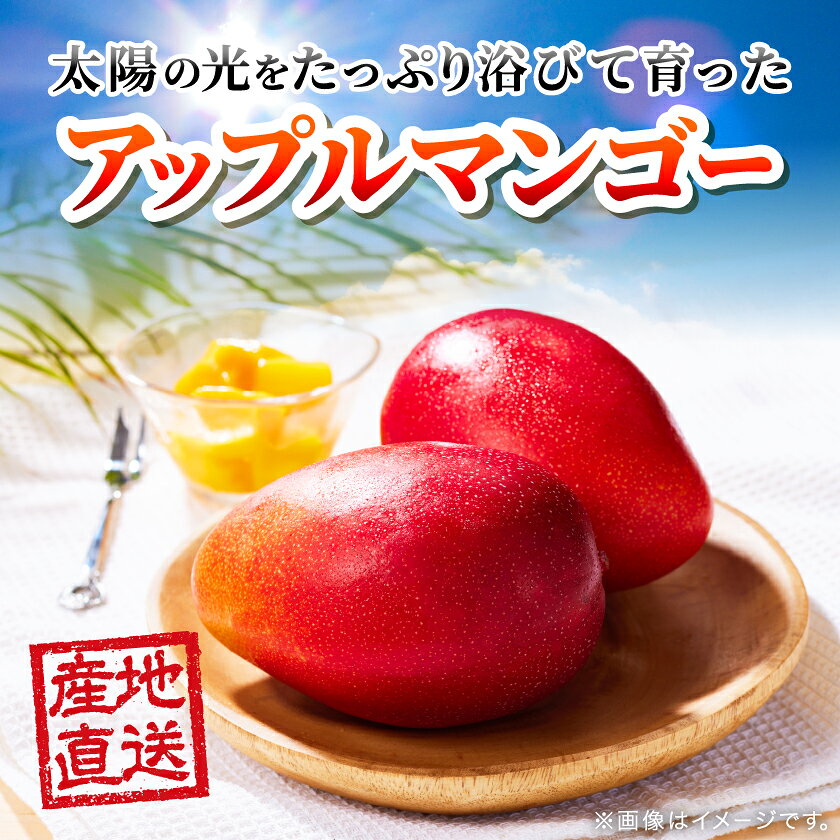 【ふるさと納税】【2026年6月下旬から順次発送】今帰仁産の完熟アップルマンゴー1kg〜2kg(訳あり)_ 訳あり 家庭用 アップルマンゴー マンゴー 今帰仁 人気 美味しい【配送不可地域：離島】【G4014742】