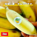 【ふるさと納税】今帰仁村産ナムワバナナ(農薬不使用)3kg