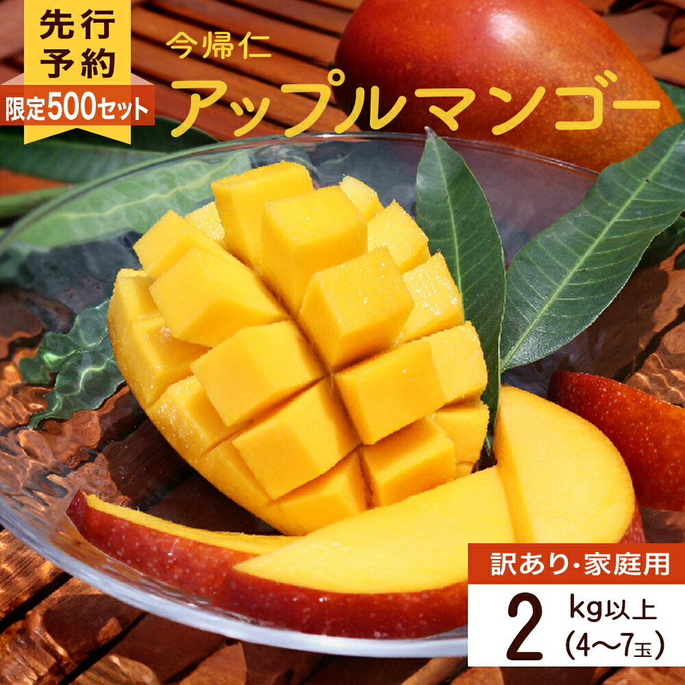 [訳あり・家庭用][生産者応援]限定500セット 今帰仁アップルマンゴー2kg以上(白箱)[2026年6月中旬〜8月中旬頃発送][生産者応援]