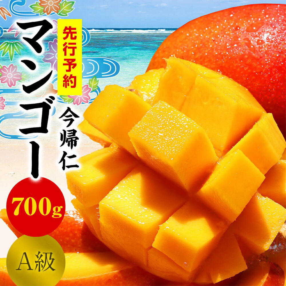 【ふるさと納税】 今帰仁マンゴーA級　700g【先行予約】【2024年6月～8月頃発送】生産者直送のサムネイル
