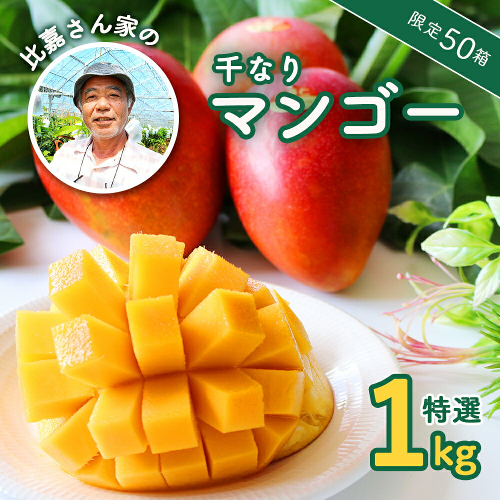 【ふるさと納税】【限定50箱】比嘉さん家の千なりマンゴー(特選・1kg) 【2025年7月~8月上旬頃発送】生産者直送