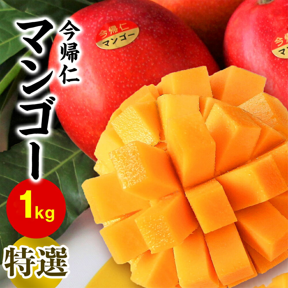 今帰仁マンゴー特選1kg[先行予約][2024年6月〜8月頃発送]生産者直送