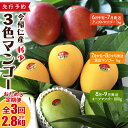 【ふるさと納税】【お試し定期便】稀少3色マンゴー食べ比べセット(赤・黄・緑)【2026年 赤:6月中旬~7月頃 黄:7月中旬~8月中旬頃 緑:8月~9月頃発送】生産者直送 先行予約