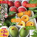 【ふるさと納税】【定期便】稀少3色マンゴー(赤・黄・緑)【2026年 赤:6月中旬~7月頃 黄:7月中旬~8月中旬頃 緑:8月~9月頃発送】生産者直送 先行予約