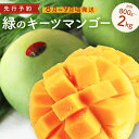 【ふるさと納税】緑のキーツマンゴー 800g~2kg【2026年8月~9月頃発送】生産者直送 先行予約