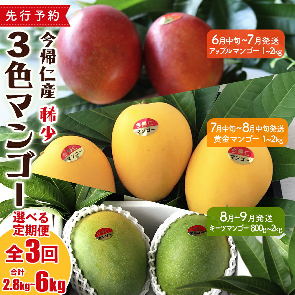 【ふるさと納税】【定期便】稀少3色マンゴー食べ比べセット(赤・黄・緑)【2026年 赤:6月中旬〜7月頃 黄:7月中旬〜8月中旬頃 緑:8月〜9月頃発送】生産者...