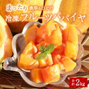 今帰仁産 冷凍フルーツパパイヤ 2kg