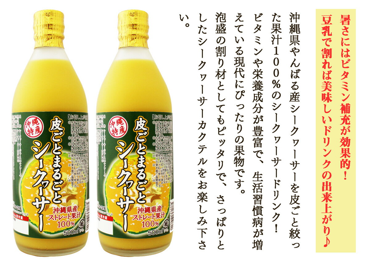 【ふるさと納税】皮ごとまるごとシークヮーサー500ml×2本セットが大人気返礼品になっている理由とは　ふるさと納税　人気　返礼品　ランキング