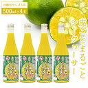 2位! 口コミ数「2件」評価「5」皮ごとまるごとシークヮーサー500ml×4本セット